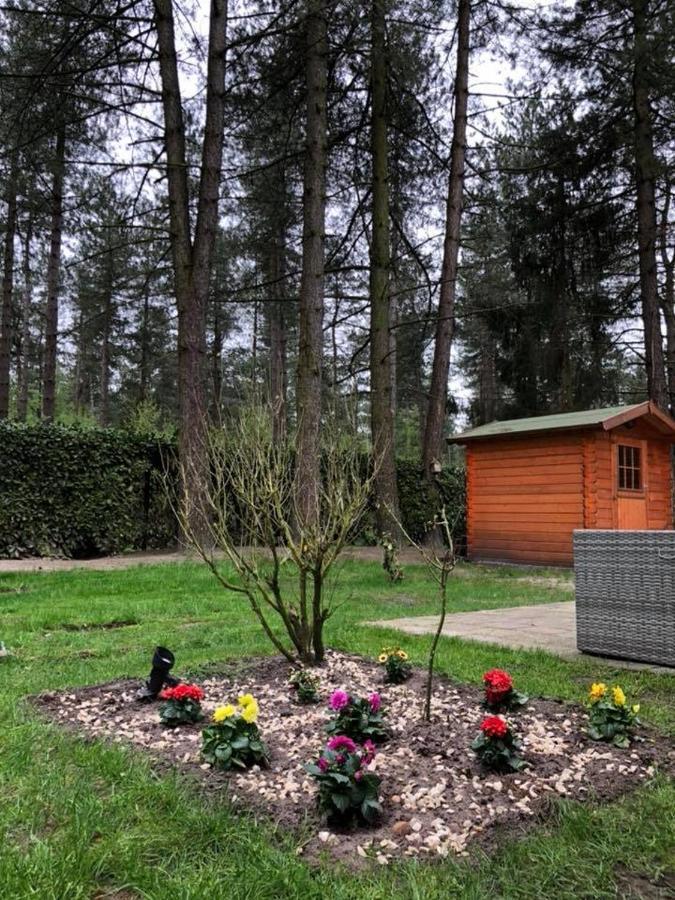 Luxe Vakantiehuis In Het Bos Overbroek Экстерьер фото
